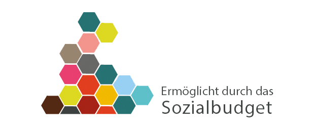 logo Sozialbudget